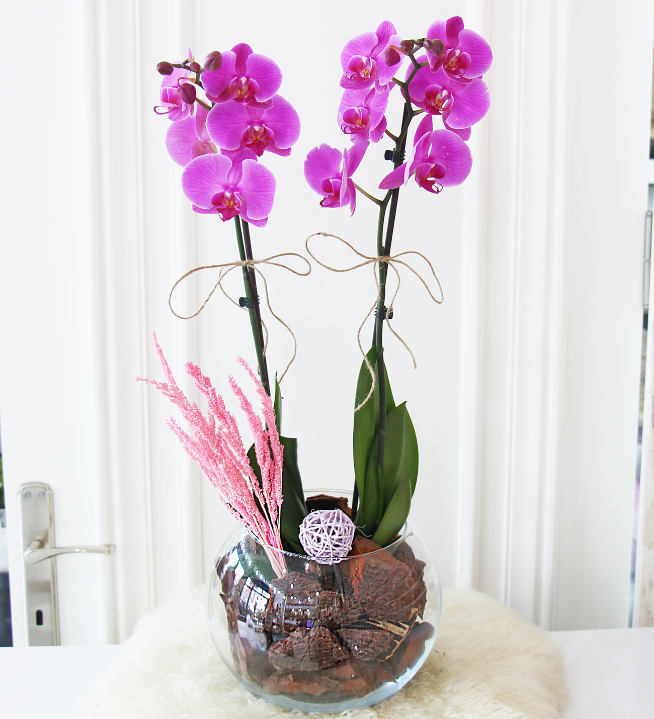 Doğal kütük seri mor orkidemiz