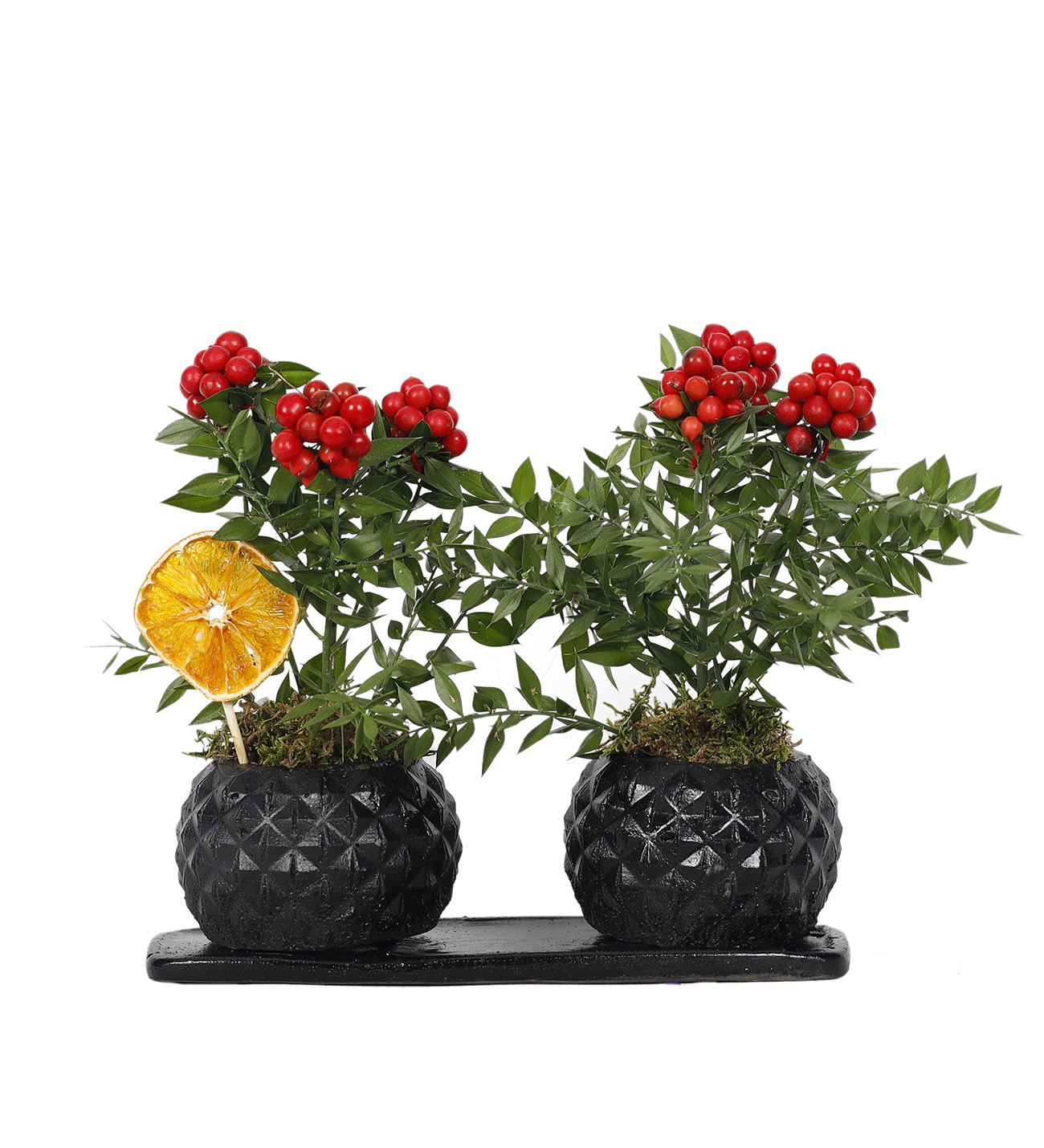 2'li Siyah Kırmızı Kokina Çiçeği Seti