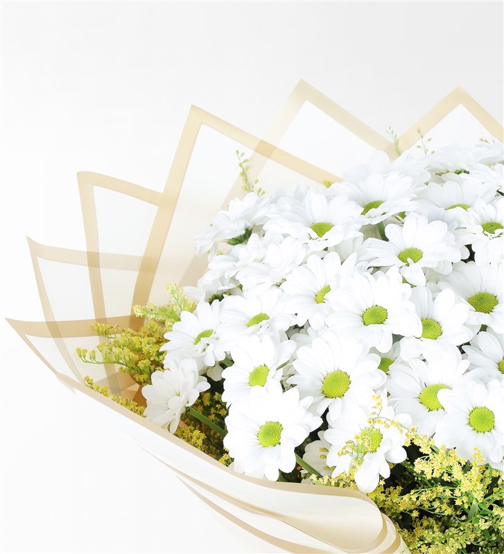 Giant White Daisy Bouquet
