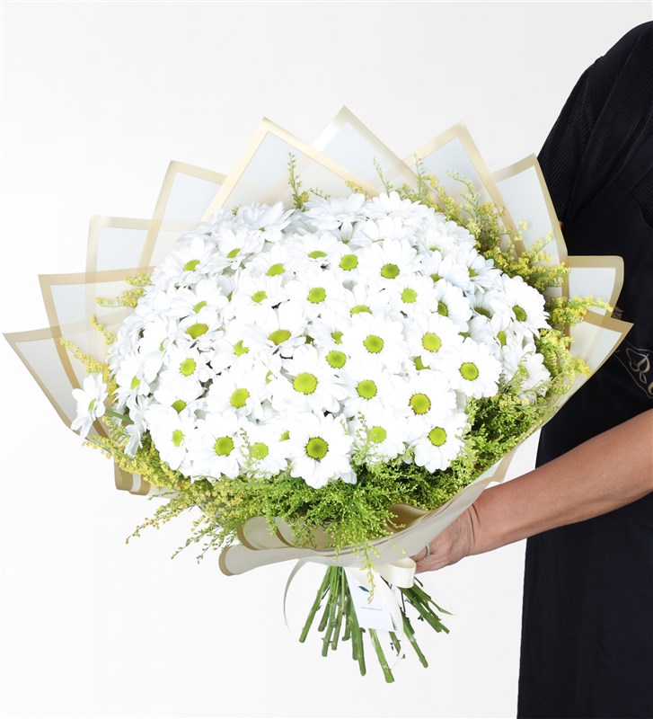Giant White Daisy Bouquet