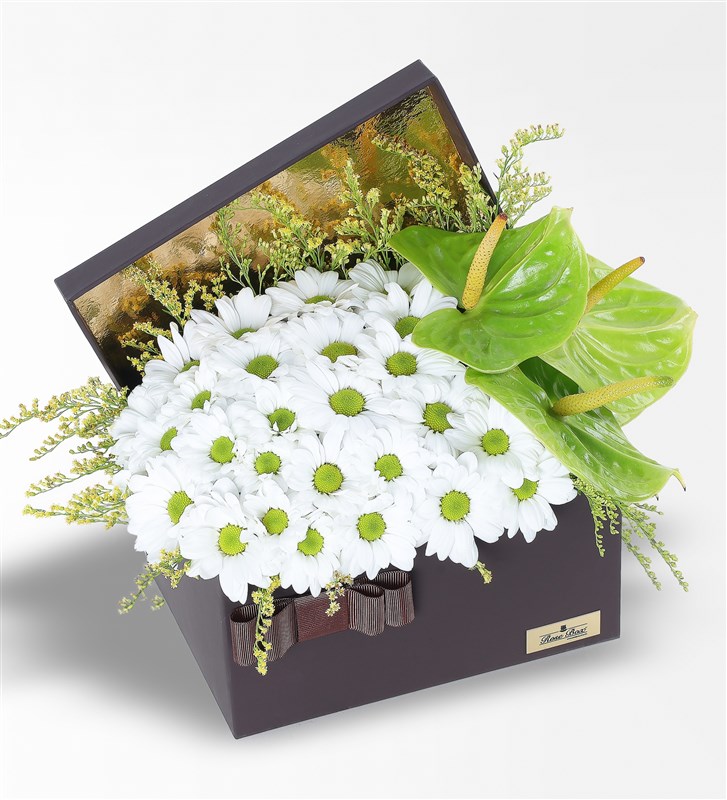White Daisies in an XL Brown Box