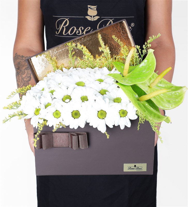 White Daisies in an XL Brown Box