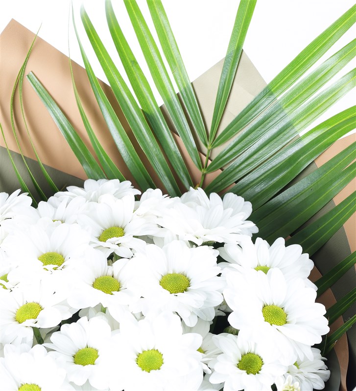 White Daisy Bouquet in Green Copper Gilded Packaging