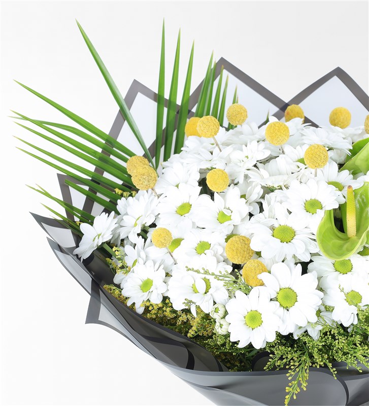 White Daisy and Green Anthurium Bouquet in Matte Black Cellophane Packaging