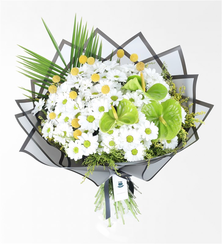 White Daisy and Green Anthurium Bouquet in Matte Black Cellophane Packaging