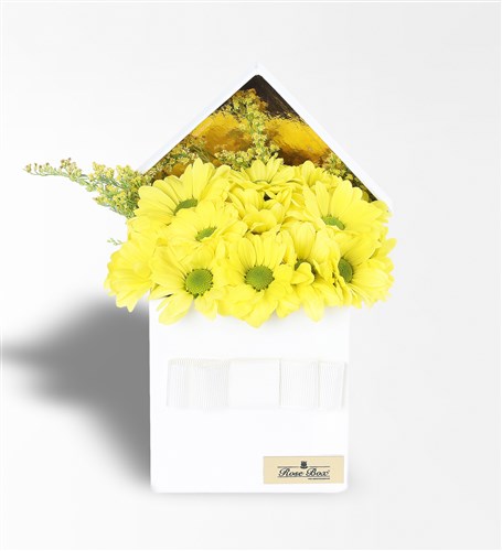 Yellow Daisy Arrangement in a White Box