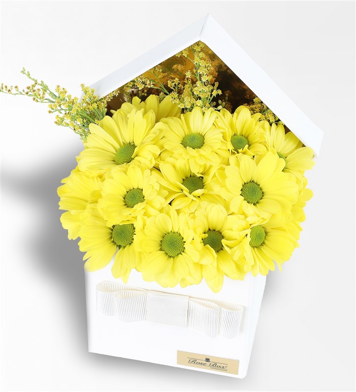 Yellow Daisy Arrangement in a White Box