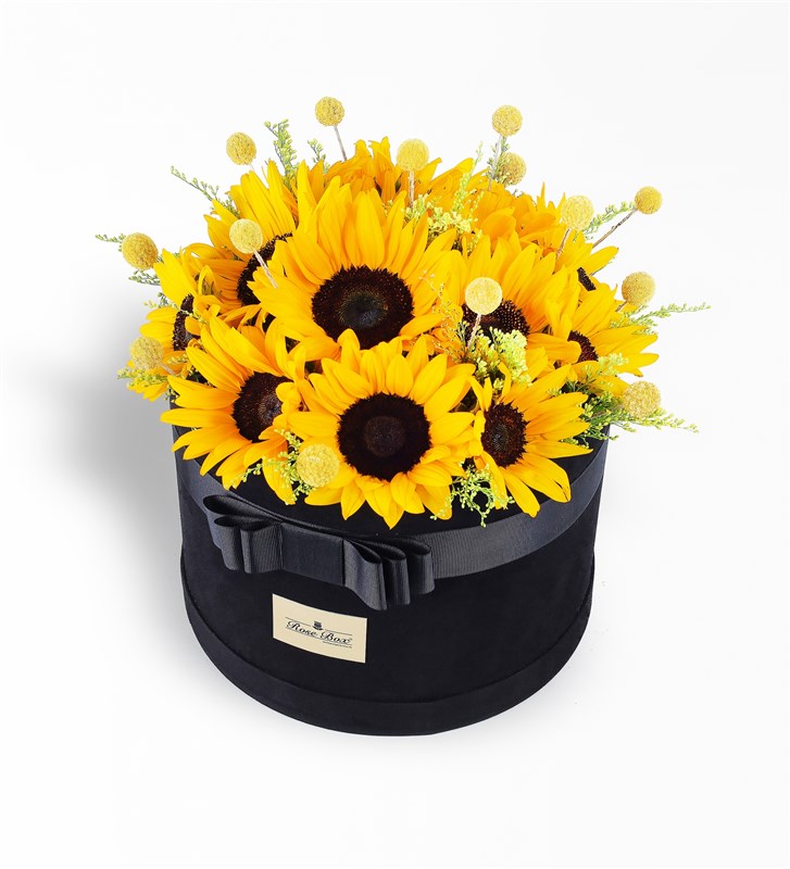 Bumble Bee XL