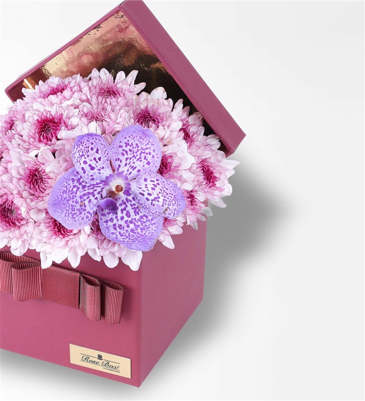 Pink Daisies and Vanda Purple Orchids in a Burgundy Box