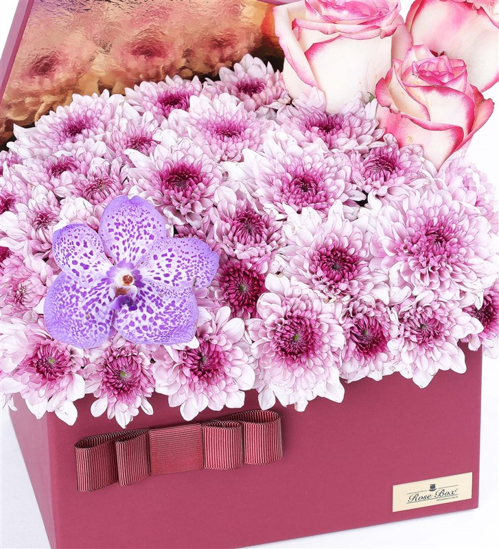 Pink Daisies and Vanda Purple Orchids in a Burgundy Box (XL)