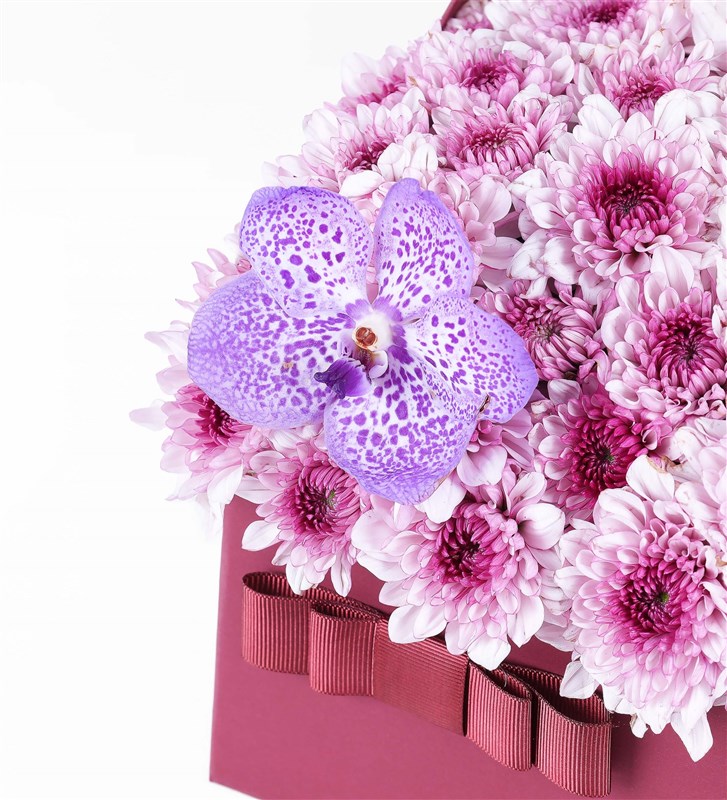 Pink Daisies and Vanda Purple Orchids in a Burgundy Box (XL)
