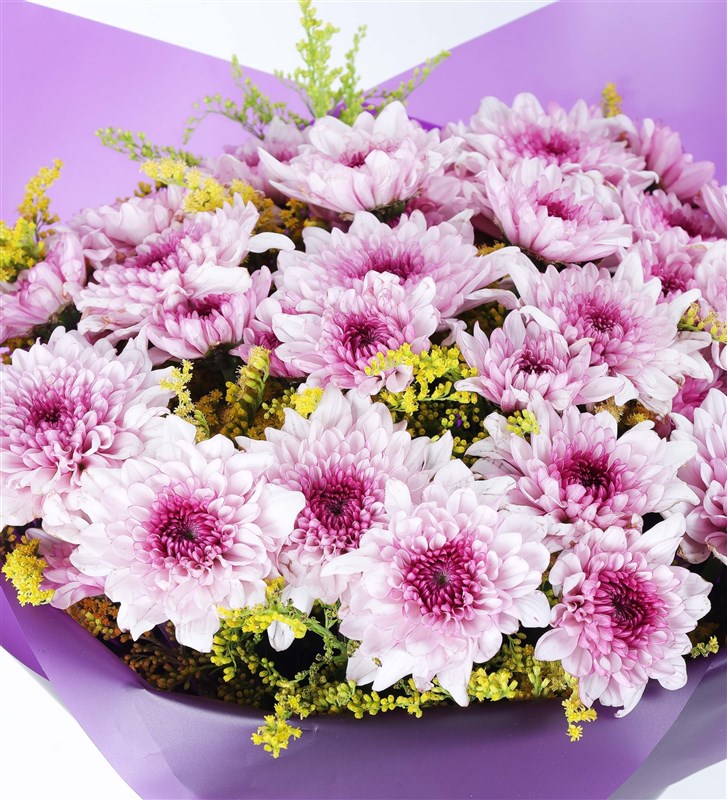Pink Daisy Bouquet in Purple Cellophane