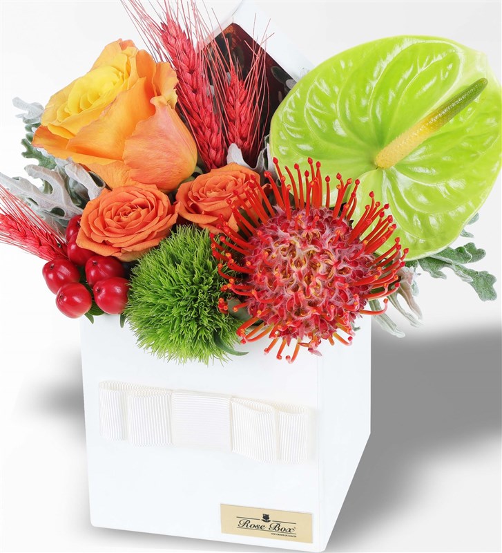 Arrangement of Lecuspermu Orange Roses and Anthuriums in a White Box