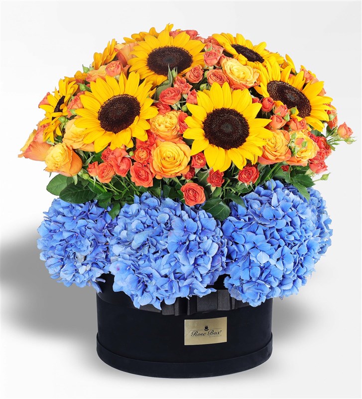 Rio - Panoramic Sunflower and Hydrangea Flower Arrangement in a Giant Box