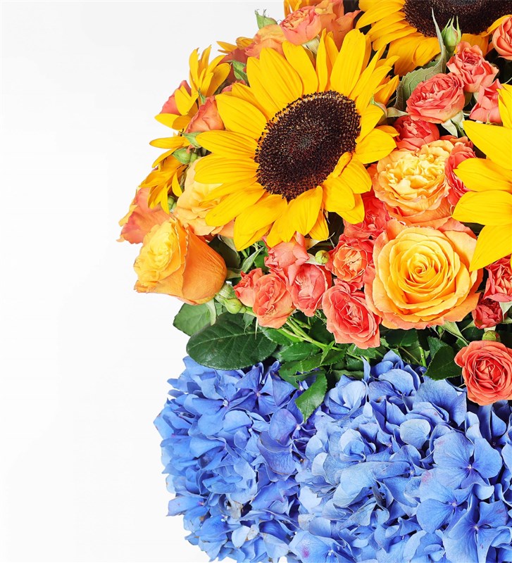 Rio - Panoramic Sunflower and Hydrangea Flower Arrangement in a Giant Box