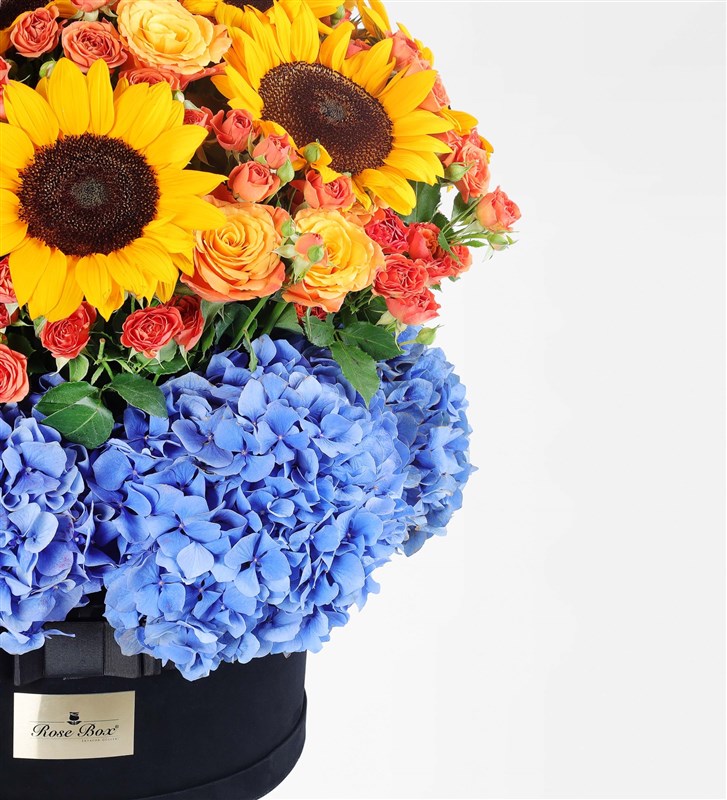 Rio - Panoramic Sunflower and Hydrangea Flower Arrangement in a Giant Box