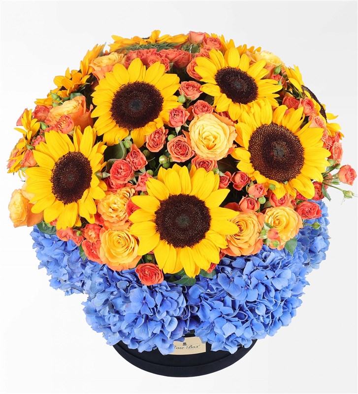 Rio - Panoramic Sunflower and Hydrangea Flower Arrangement in a Giant Box