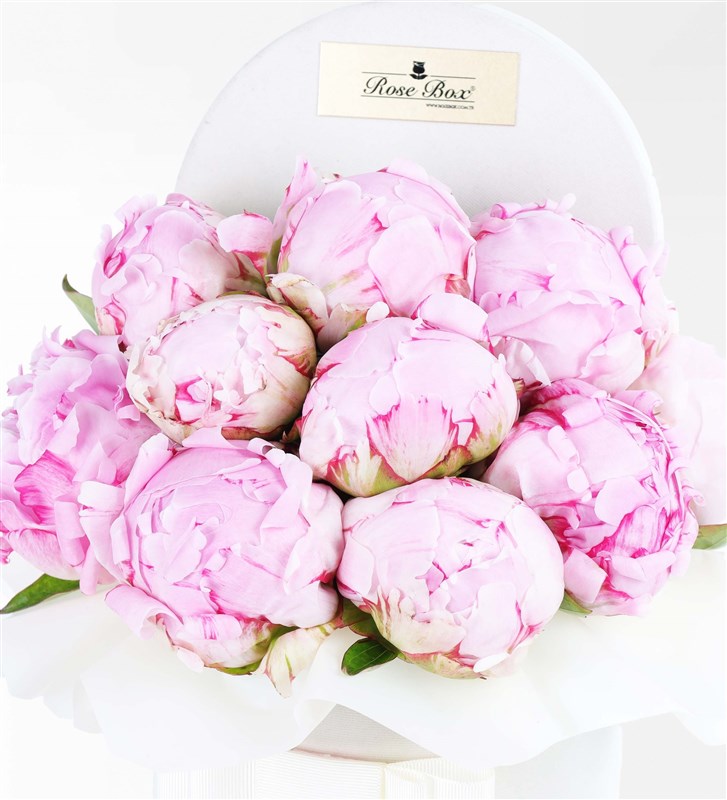 Pink Peonies in a White Velvet Cylindrical Box