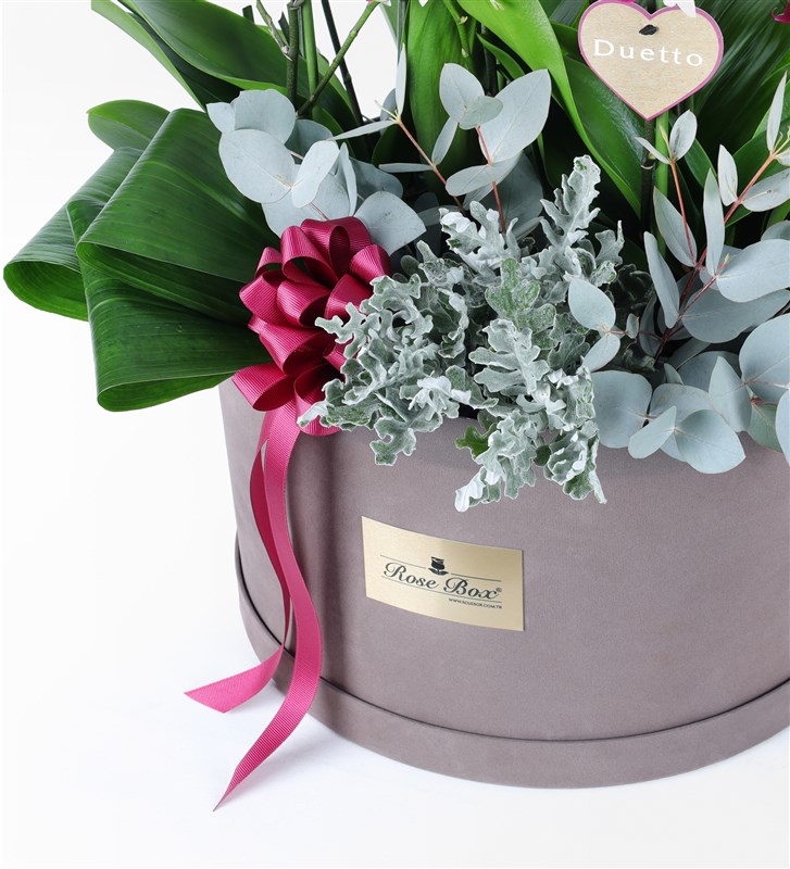 8-Stem White Duetto Orchid Arrangement