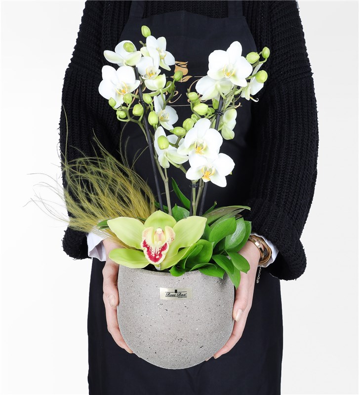 White Bougetto Orchid and Cymbidium Arrangement