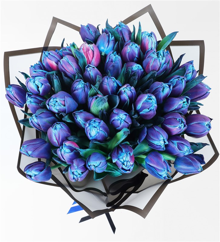 50 BLUE GALAXY TULIP BOUQUET
