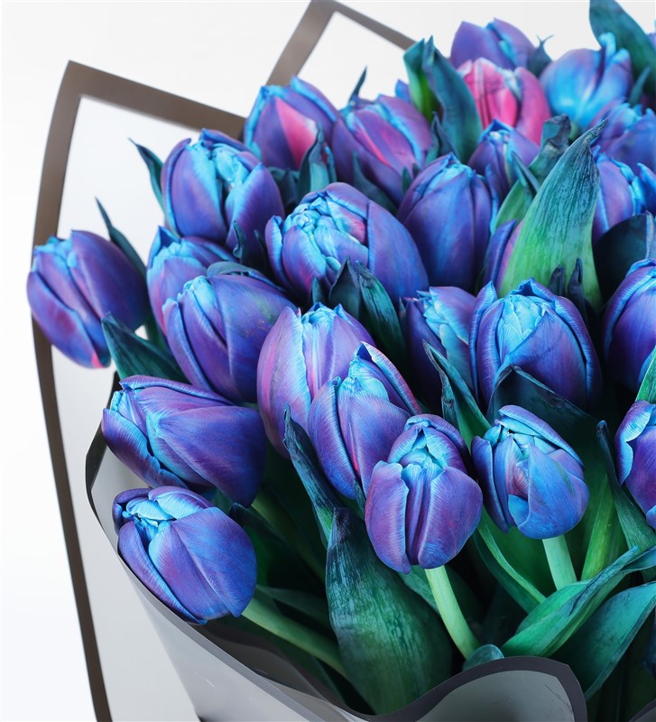 50 BLUE GALAXY TULIP BOUQUET