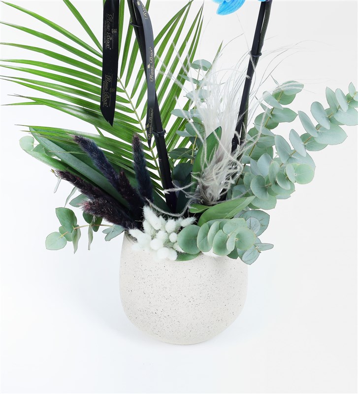 Magic Blue Orchid and Eucalyptus Arrangement in a Beige Concrete Pot
