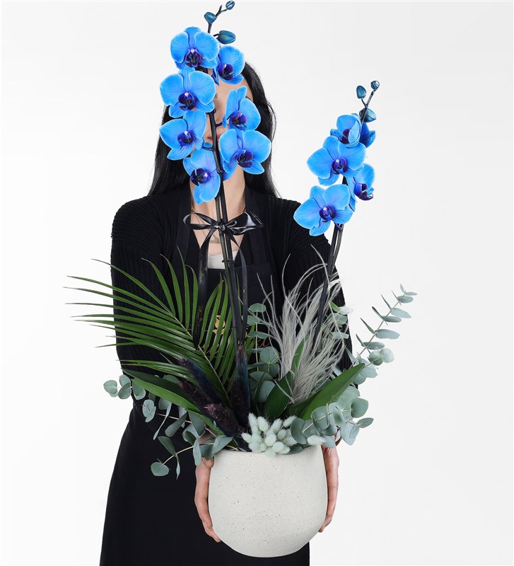 Magic Blue Orchid and Eucalyptus Arrangement in a Beige Concrete Pot