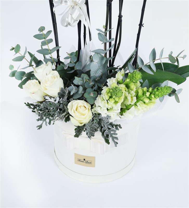 Blue Orchid, White Roses, and Snapdragon Arrangement in a White Box