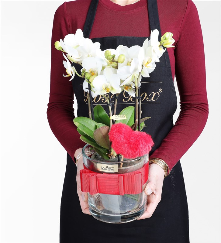 Bougetto Orchid and Plush Heart in a Glass Vase