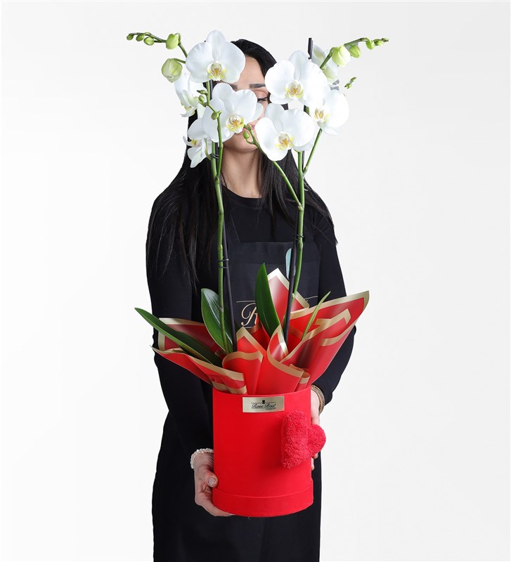 Two-Stem White Orchid in a Red Velvet Heart-Shaped Box