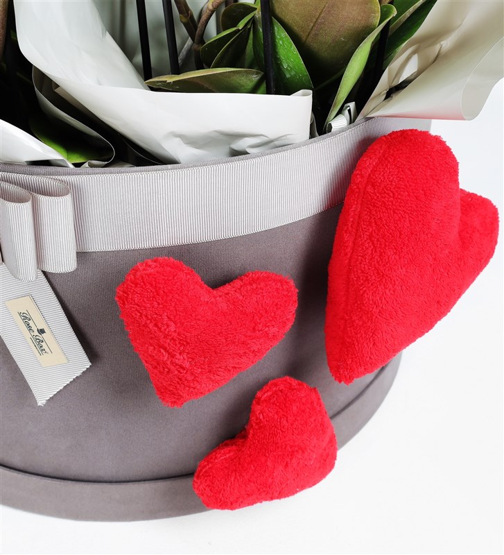 20-Stem White Bellisimo Orchid in a Giant Plush Heart Box