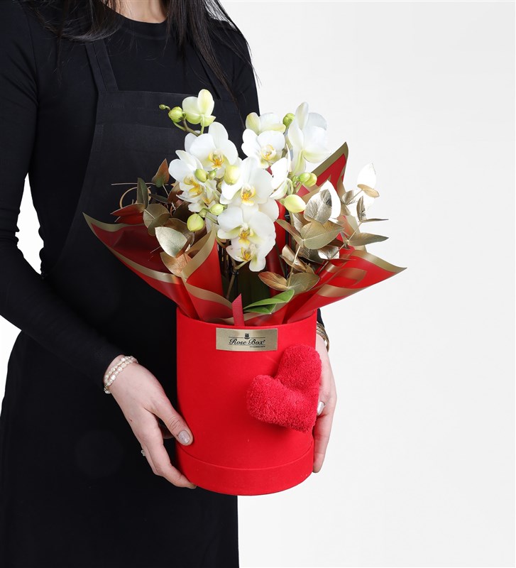 White Bougetto Orchid in a Red Velvet Heart-Shaped Box
