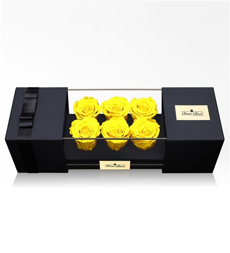 Six Yellow Everlasting Roses