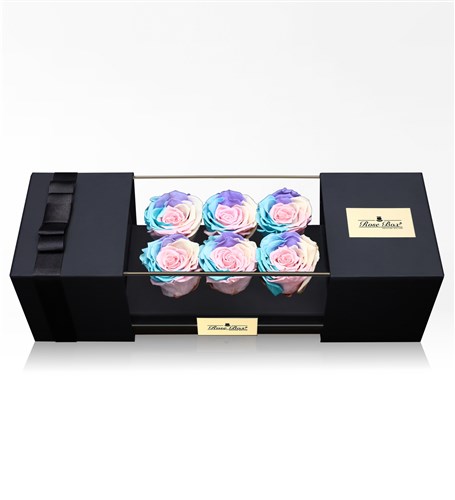 Six Powder Rainbow Everlasting Rose