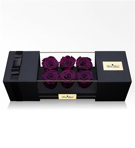 Six Purple Everlasting Roses
