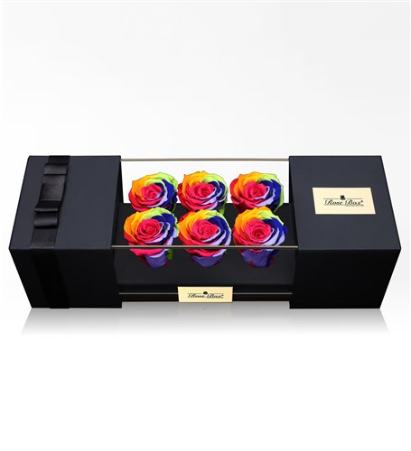 Six Rainbow Everlasting Roses