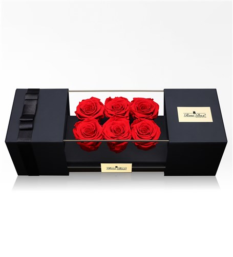 Six Red Everlasting Roses
