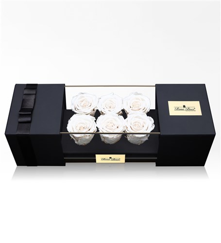Six White Everlasting Roses