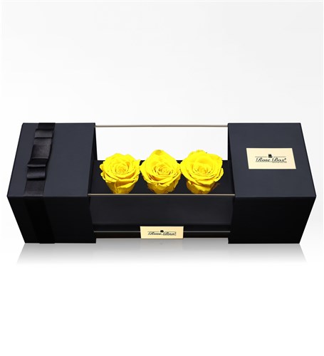 Three Yellow Everlasting Roses