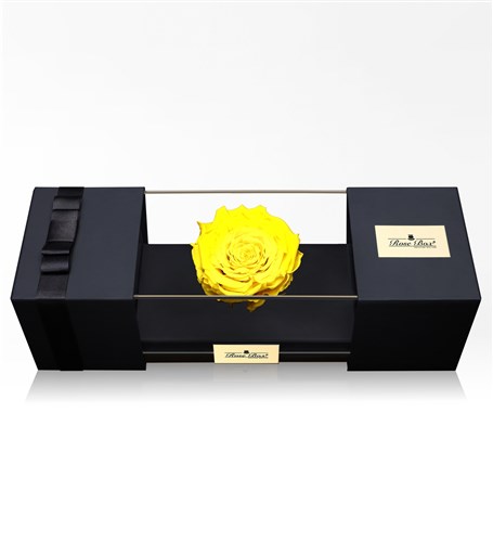 Large Yellow Everlasting Rose