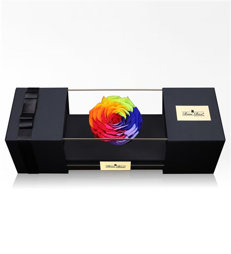 Rainbow Large Everlasting Rose