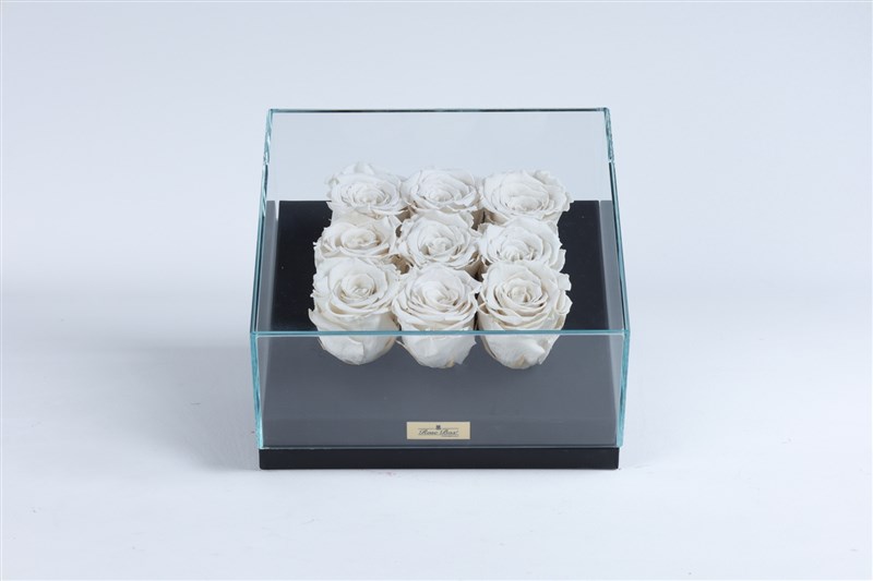 9 White Everlasting Roses in a Black Glass Box