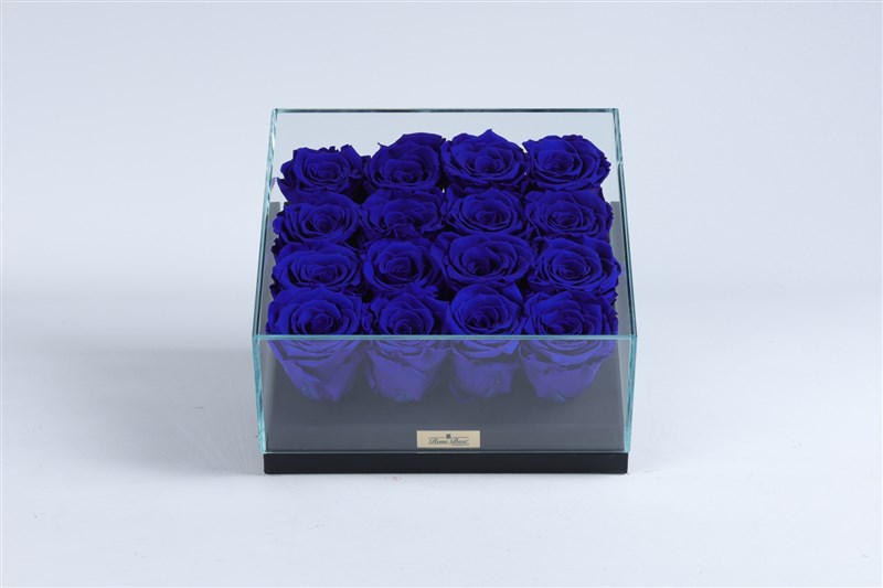 16 Blue Everlasting Roses in a Black Glass Box