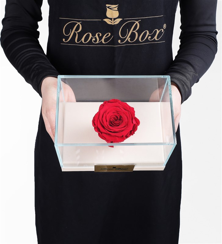 One red everlasting rose in a beige box.
