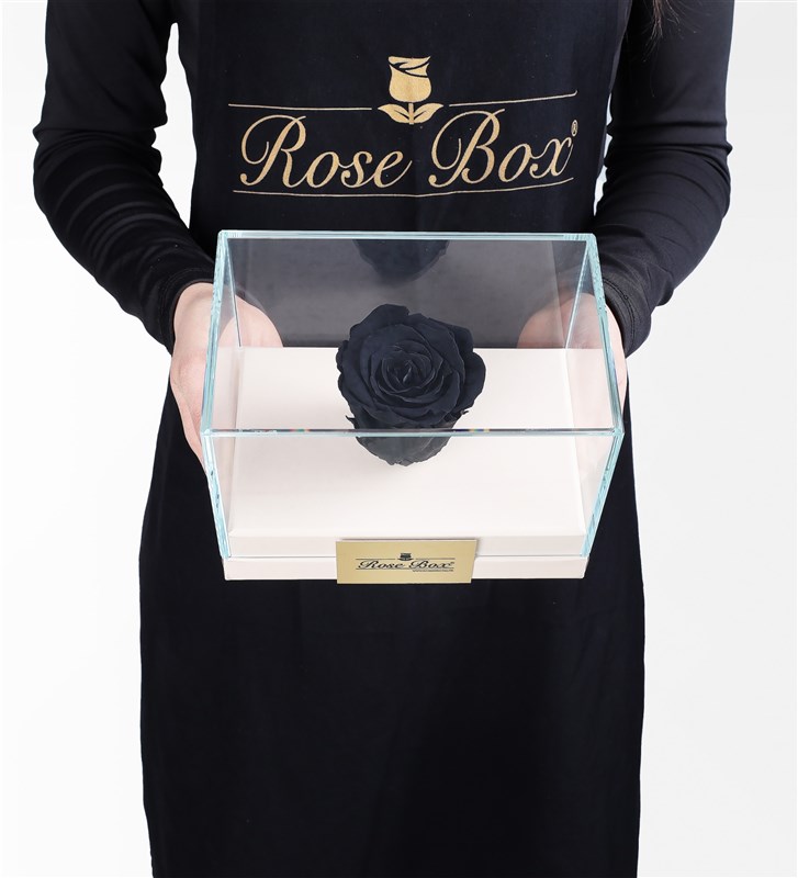 One Black Everlasting Rose in a Beige Box