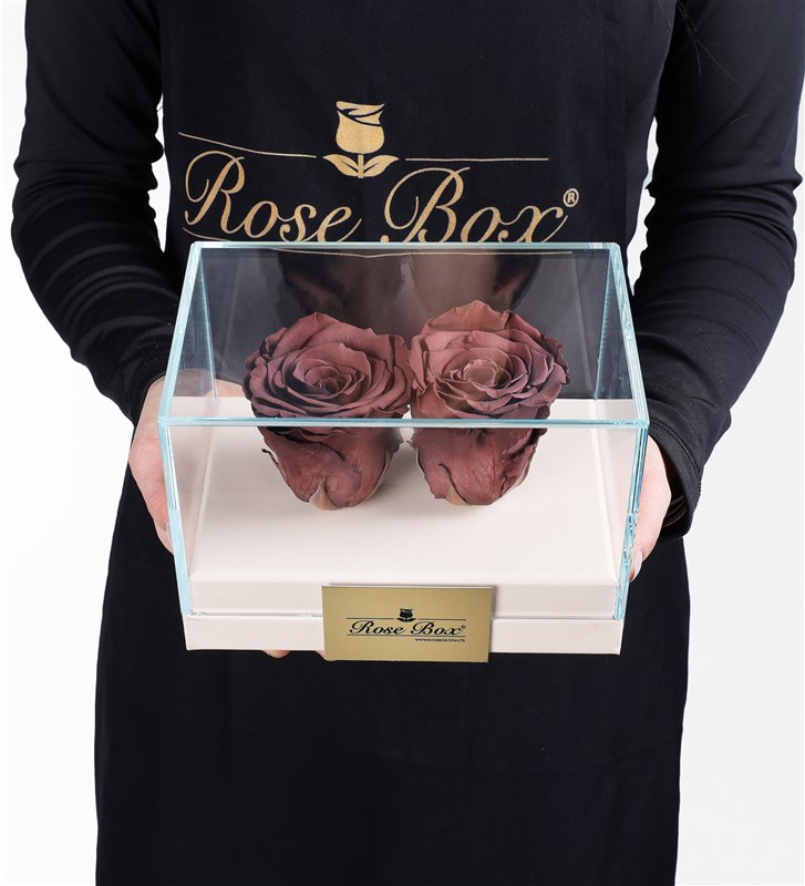 Beige Box with 2 Cafe Mocha Brown Everlasting Roses