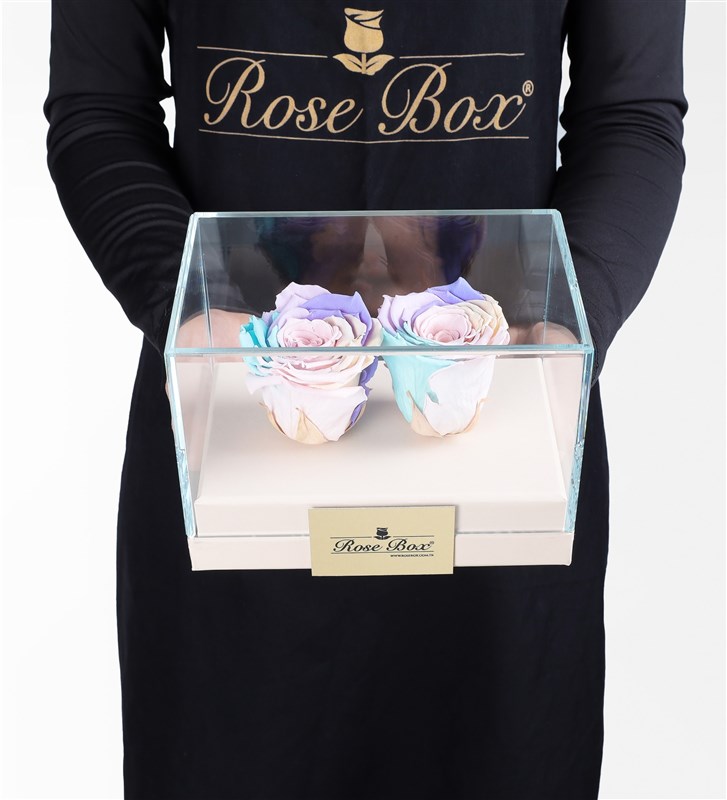 Two Powder Rainbow Everlasting Roses in a Beige Box