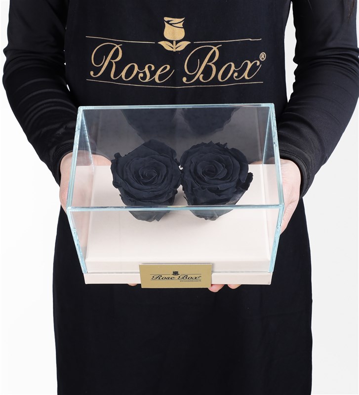 Two Black Everlasting Roses in a Beige Box