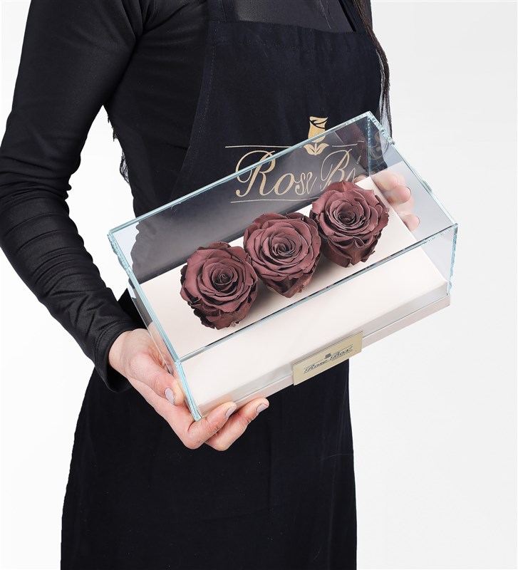 3 Cafe Mocha Brown Everlasting Roses in a Beige Box
